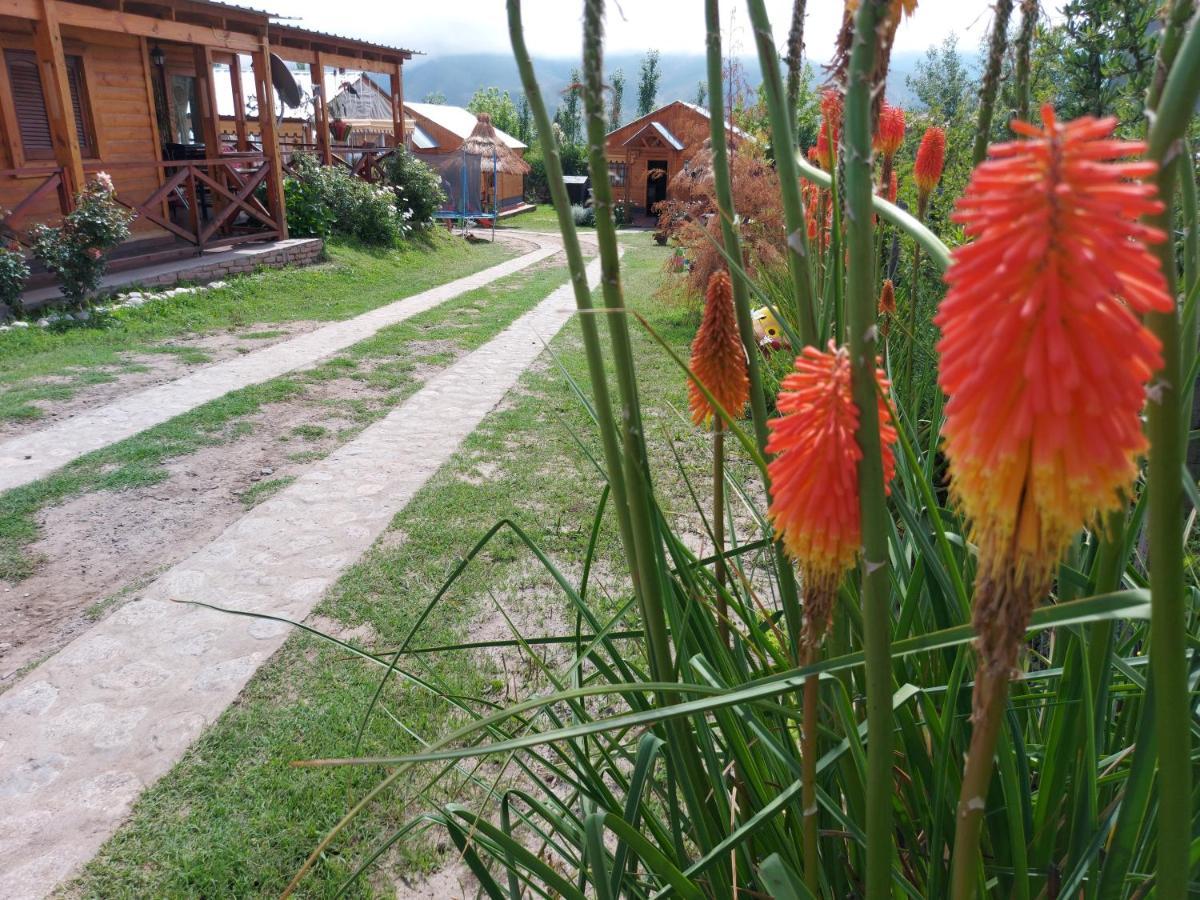 Aires De Tafi Country house Tafi del Valle